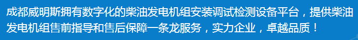 四川柴油发电机