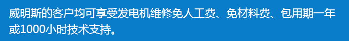四川发电机组